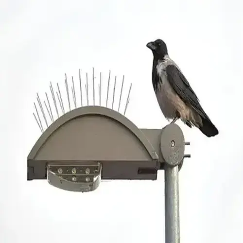 Netting Fixers Anti Bird Spikes in Bangalore (Bengaluru) for Balcony