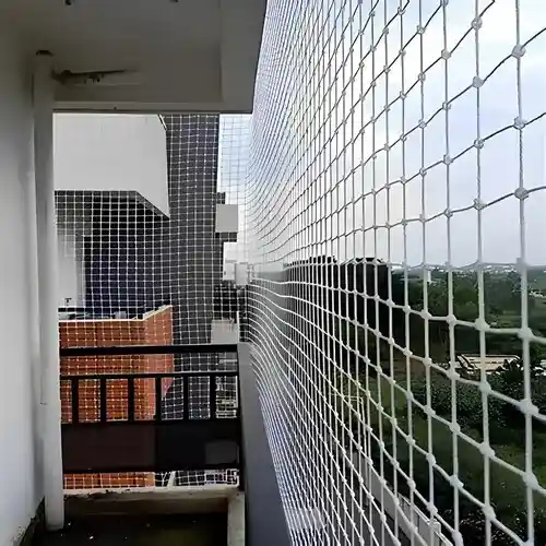 Netting Fixers Pigeon Safety Nets in Bangalore (Bengaluru)