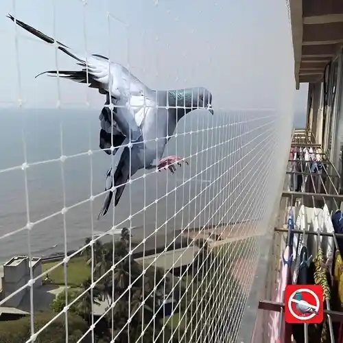 Netting Fixers Top Quality Birds Net for Balcony in Electronic City