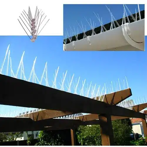 Bird Spikes Installation in Whitefield (3)