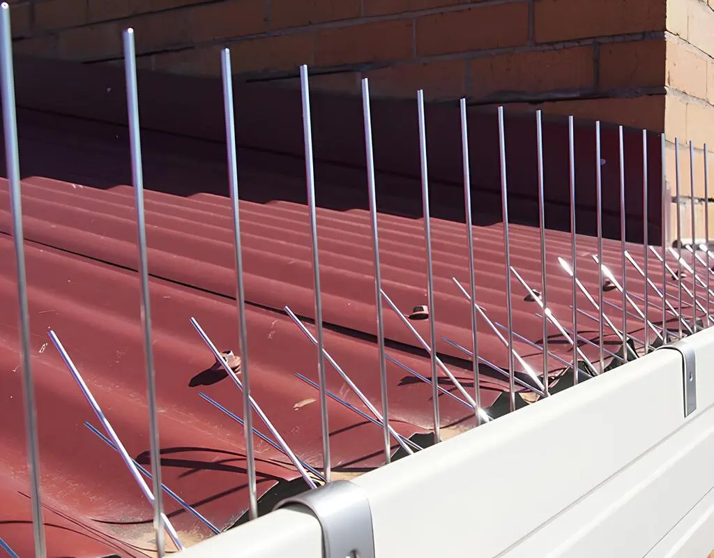 Bird Spikes Installation in Whitefield (4)