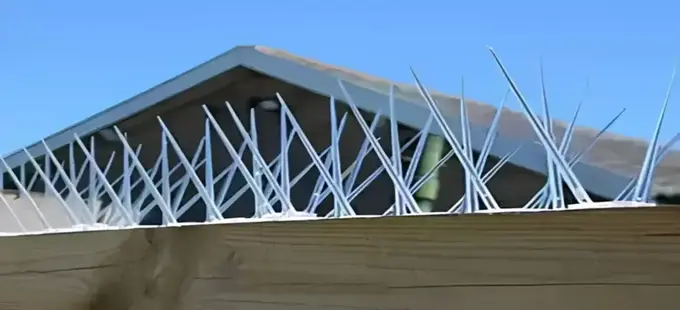 Netting Fixers Bird Spikes