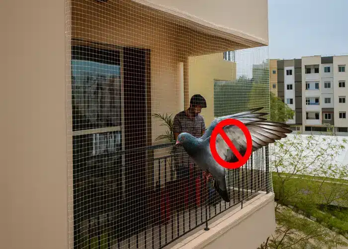 Anti Bird Nets in Thanisandra & Yelahanka