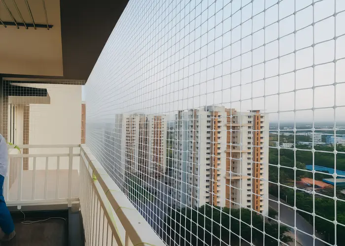 Bird Netting Service in Thanisandra & Yelahanka