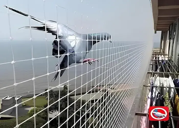 Bird Netting for Balcony in Hebbal & Varthur