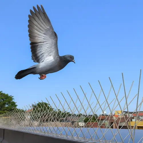 Premium Anti Bird Spikes in Hebbal and Varthur