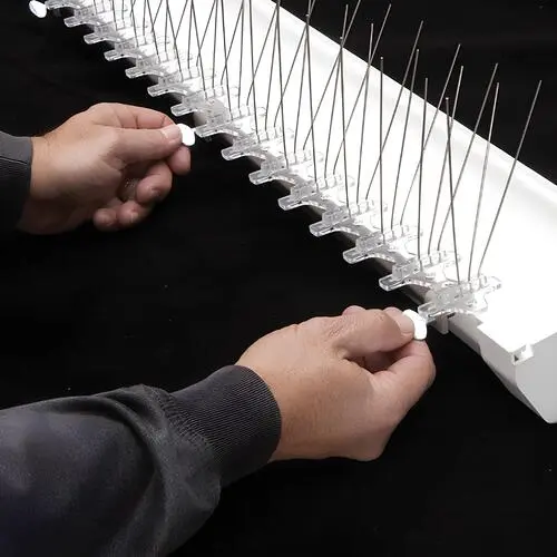 Premium Bird Spikes Installation in Brookefield and Panathur