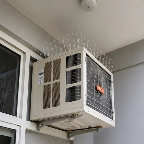 Premium Bird Spikes Installation in Gunjur and KR Puram