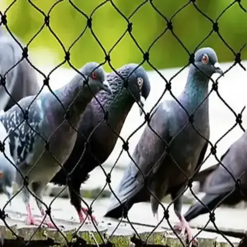 Premium Pigeon Netting for Balcony in Hebbal and Varthur