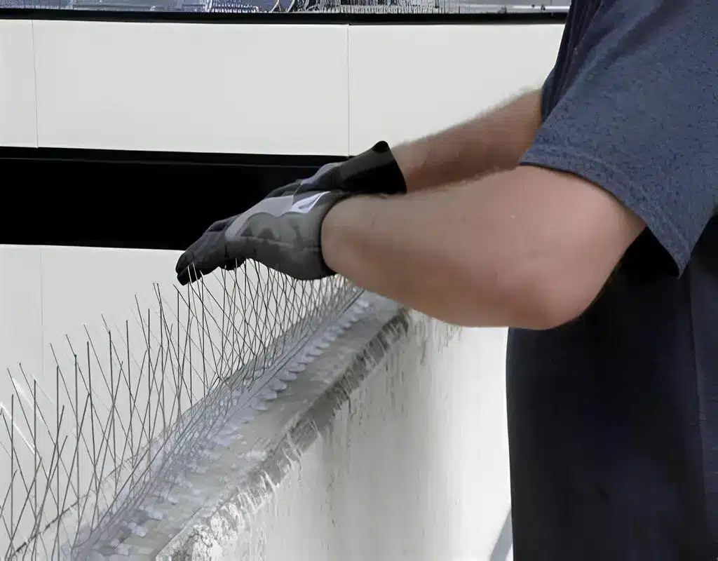 Top Bird Spikes Installation in Thanisandra and Yelahanka