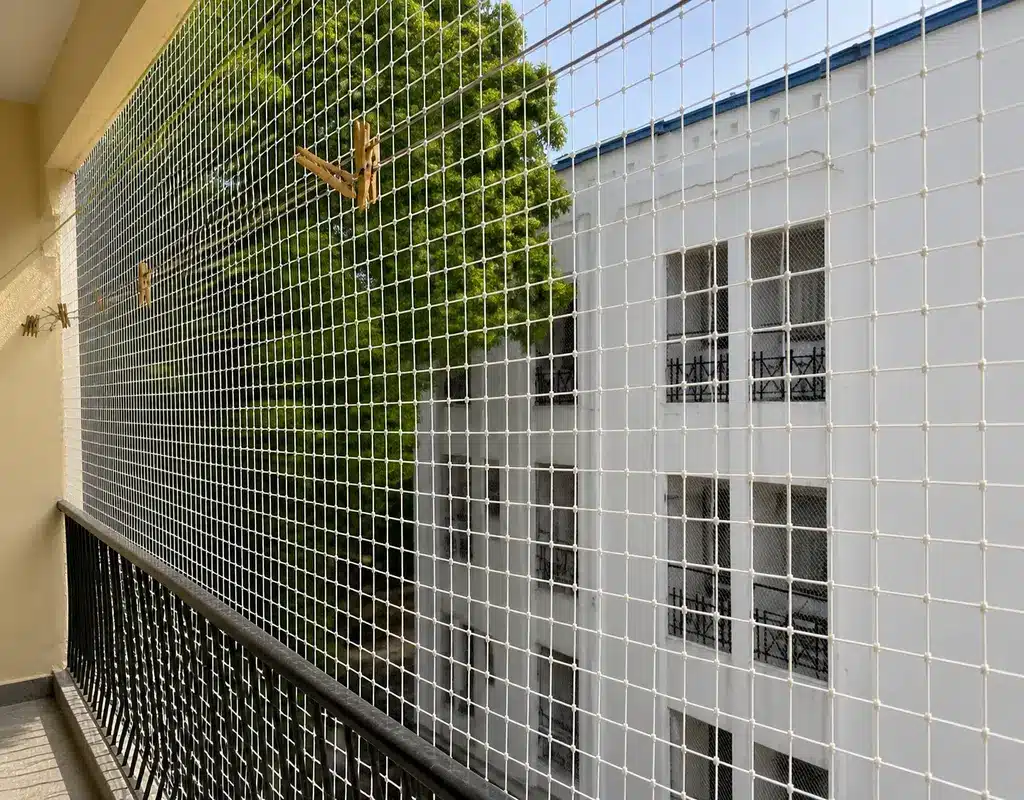 Best Premium Bird Netting Service in Mahadevapura and Nagavara