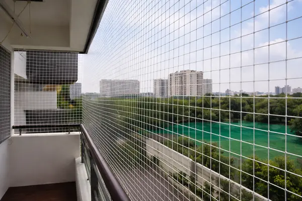 Pigeon Safety Net Installation